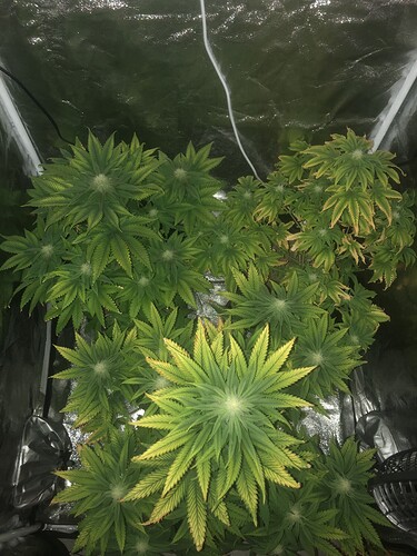 Growreport Bild 7