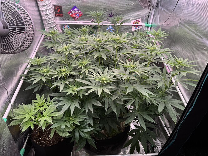 Growreport Bild 21