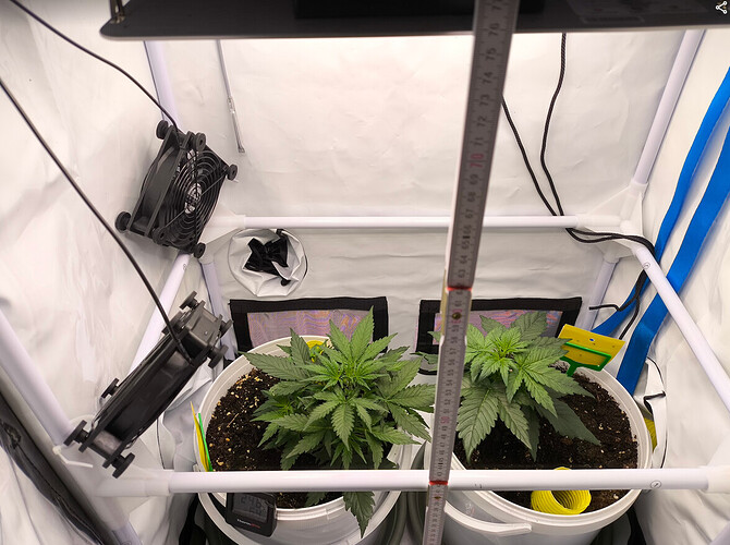 Growreport Bild 5