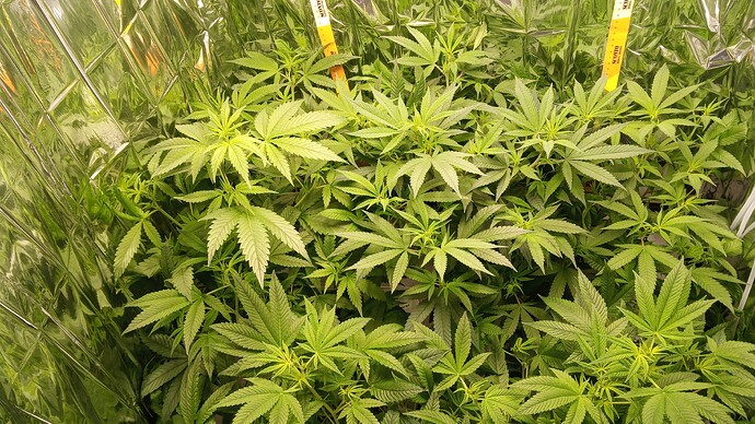 Growreport Bild 10