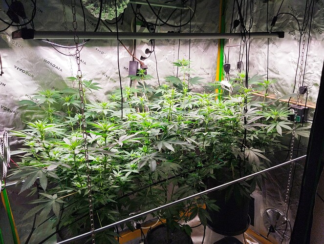 Growreport Bild 6