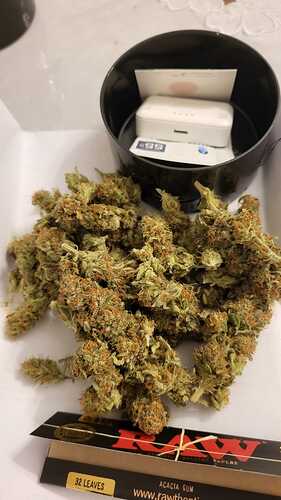 Growreport Bild 26