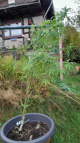 Growreport Bild 23
