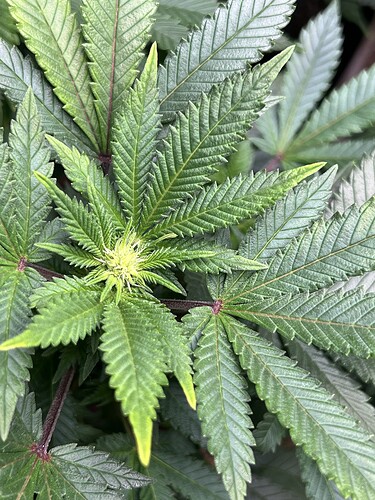 Growreport Bild 14