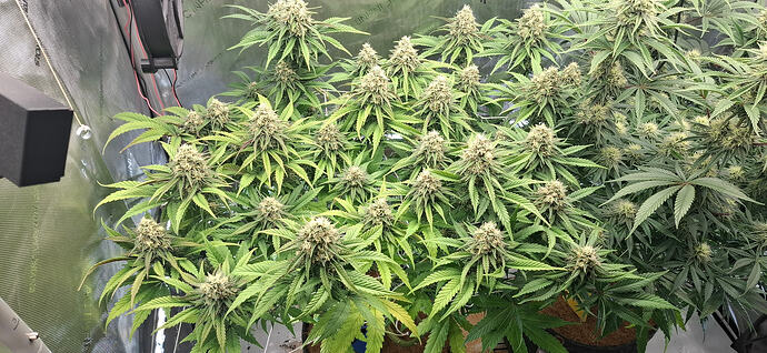 Growreport Bild 10