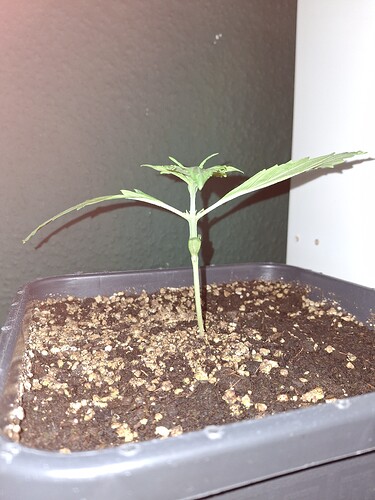 Growreport Bild 10