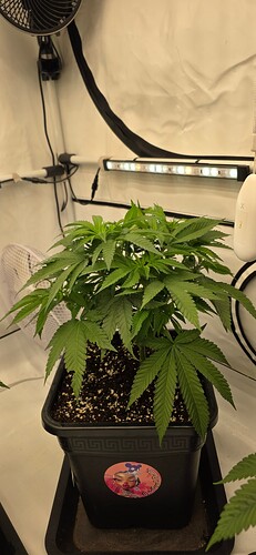 Growreport Bild 14
