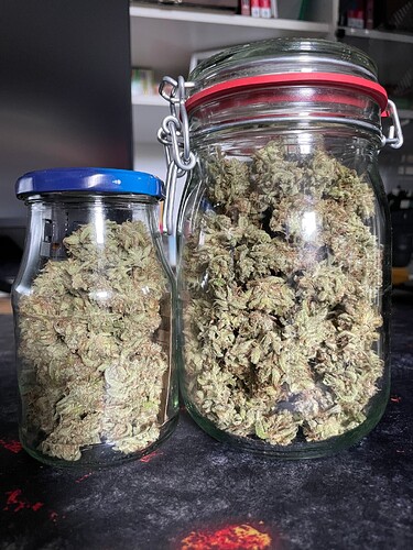 Growreport Bild 15