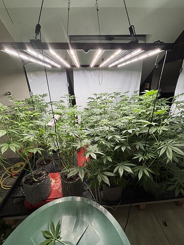 Growreport Bild 7