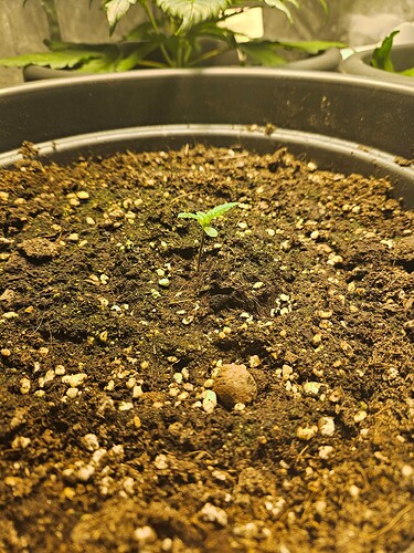 Growreport Bild 24