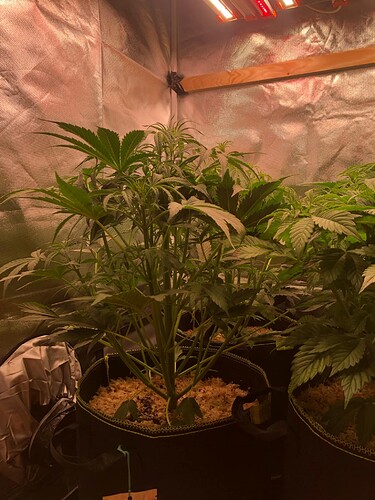 Growreport Bild 16