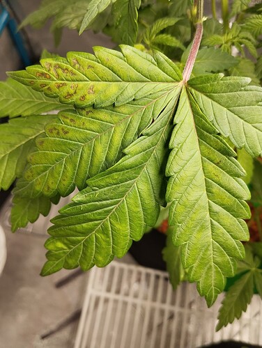 Growreport Bild 22