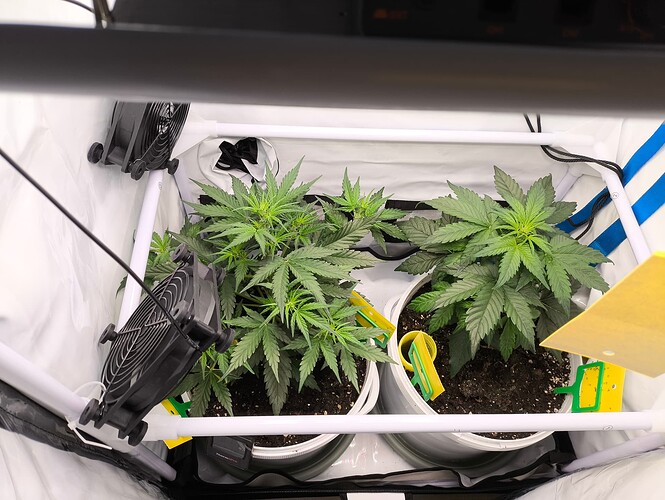 Growreport Bild 3