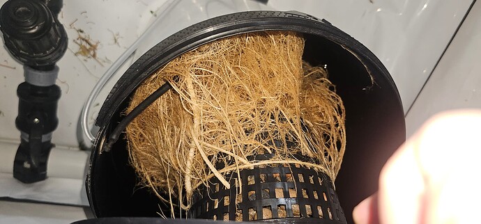 Growreport Bild 11