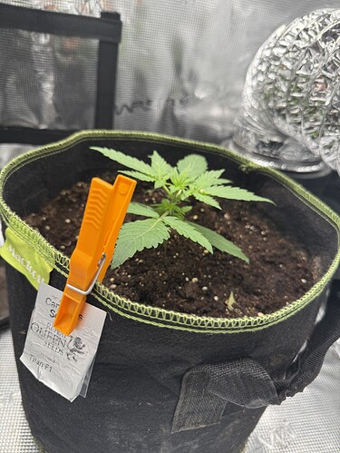 Growreport Bild 8