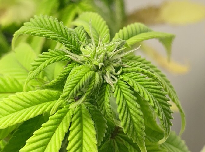 Growreport Bild 19