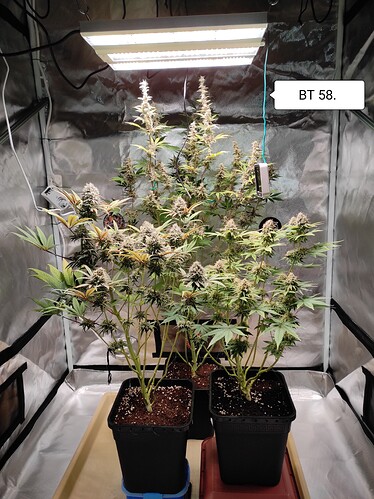 Growreport Bild 8