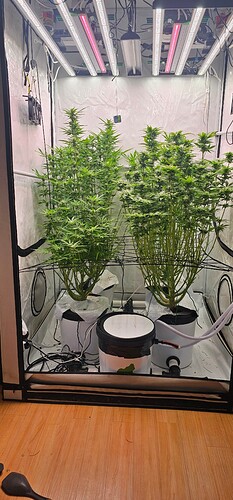 Growreport Bild 2