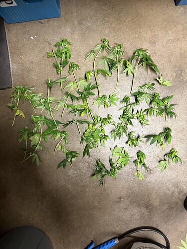 Growreport Bild 21