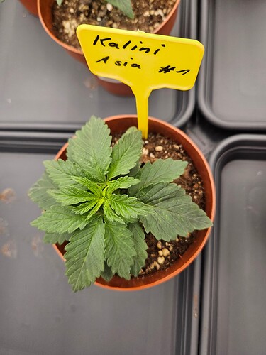 Growreport Bild 21