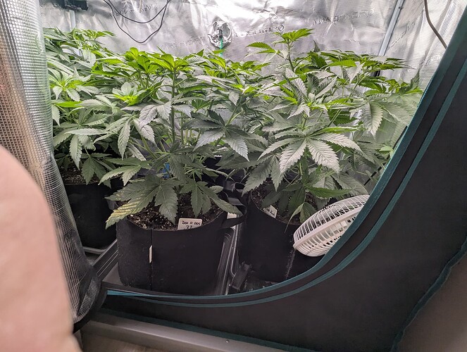Growreport Bild 5