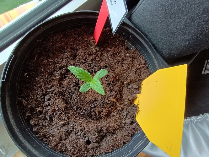 IMG_20240422_084917828_HDR