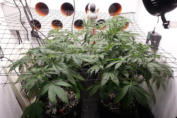 Growreport Bild 20