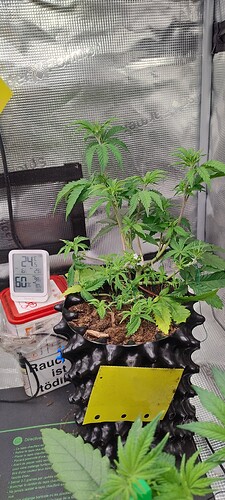 IMG_20250930_094444881_HDR