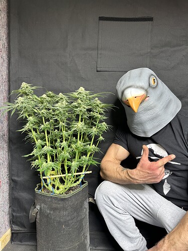 Growreport Bild 7