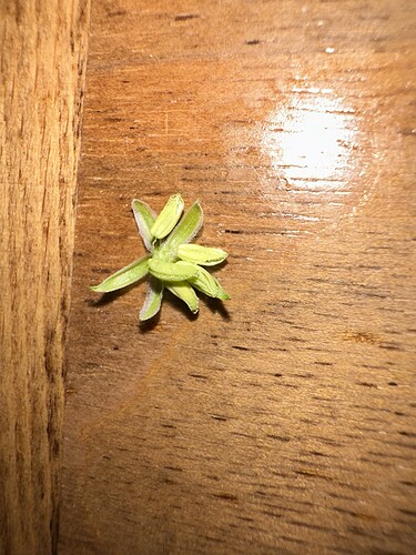 Growreport Bild 4