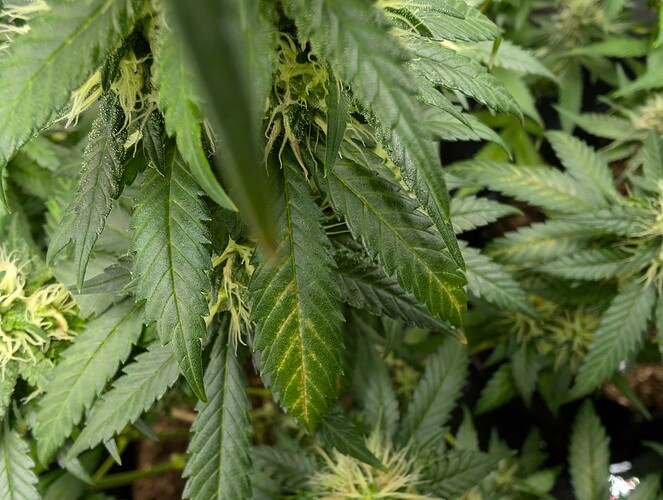 Growreport Bild 5