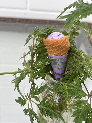 Growreport Bild 26