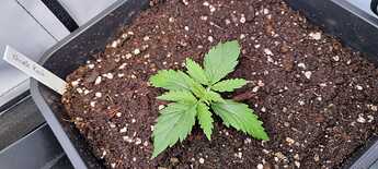 WhatsApp Image 2024-05-05 at 13.58.10 (2)