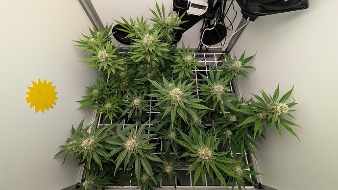 Growreport Bild 21