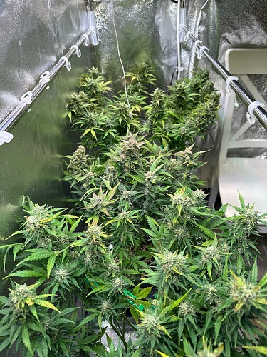 Growreport Bild 11