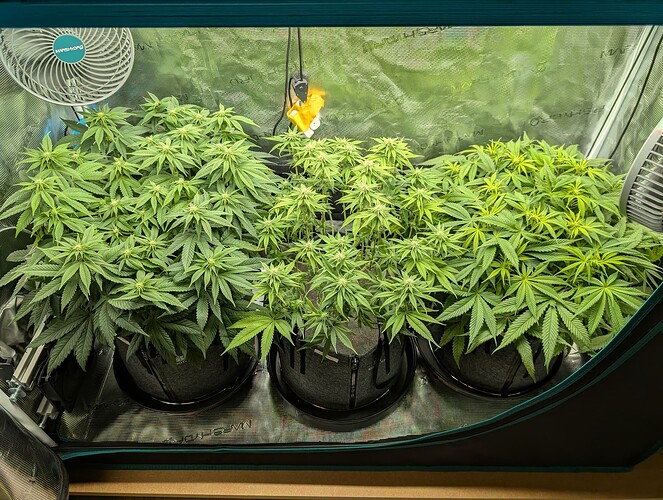 Growreport Bild 1
