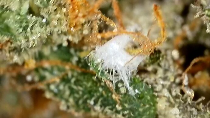 2024-06-27-15-49-35-845