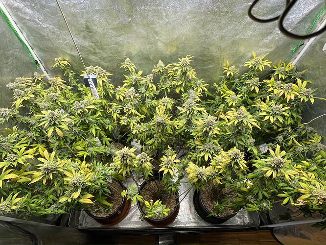 Growreport Bild 8