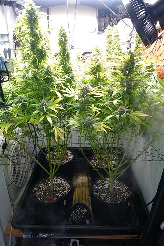Growreport Bild 2