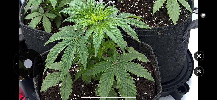 Growreport Bild 11