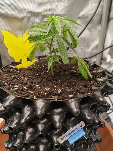 Growreport Bild 14