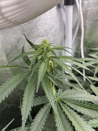 Growreport Bild 20