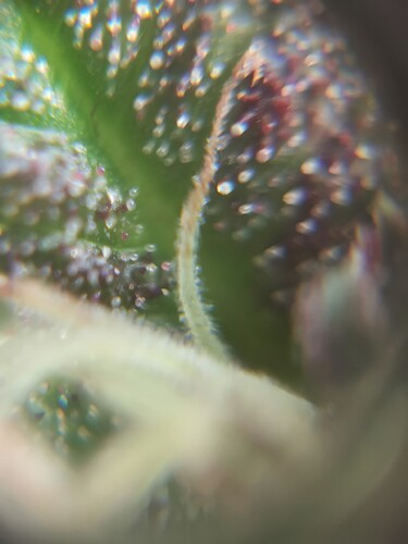 Growreport Bild 9