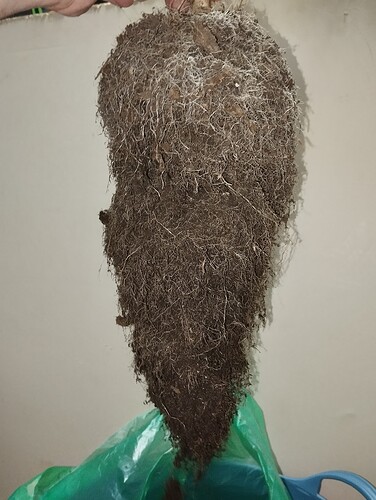 Growreport Bild 7