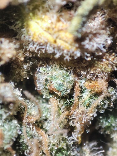 Growreport Bild 15