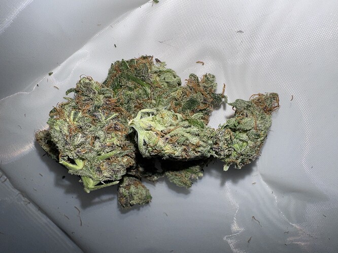 Growreport Bild 34