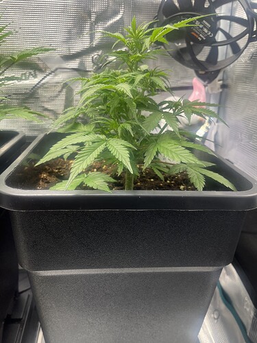 Growreport Bild 10