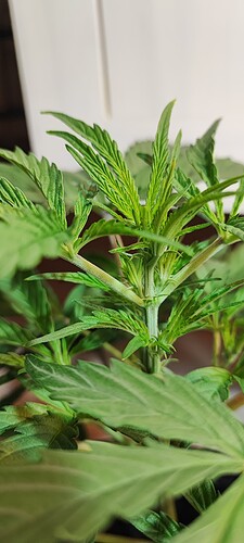 Growreport Bild 5