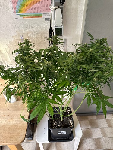 Growreport Bild 17