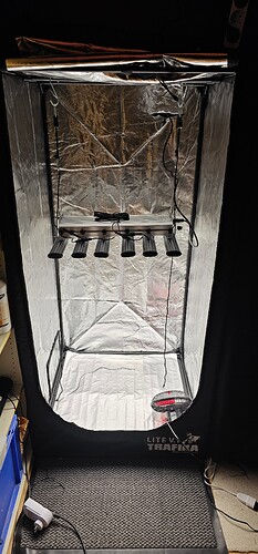 Growreport Bild 16